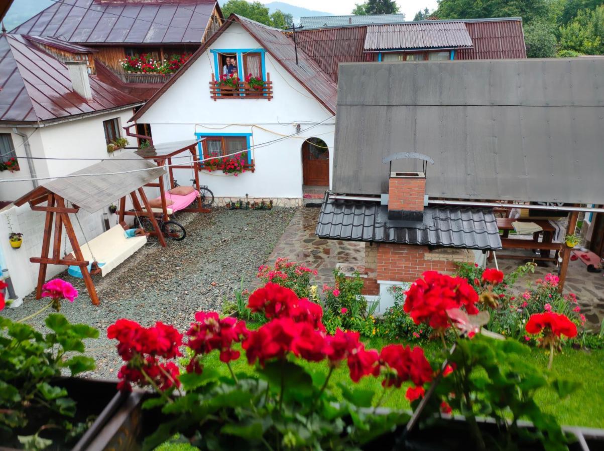 Casa Toth Din Tipterai Otel Vişeu de Sus Dış mekan fotoğraf