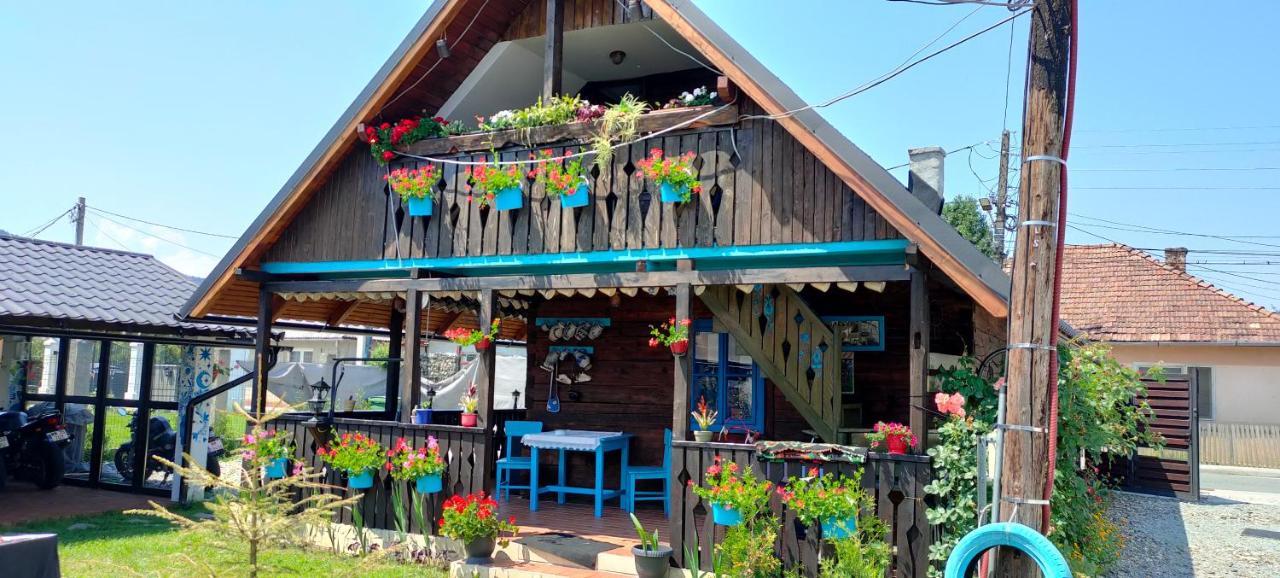 Casa Toth Din Tipterai Otel Vişeu de Sus Dış mekan fotoğraf