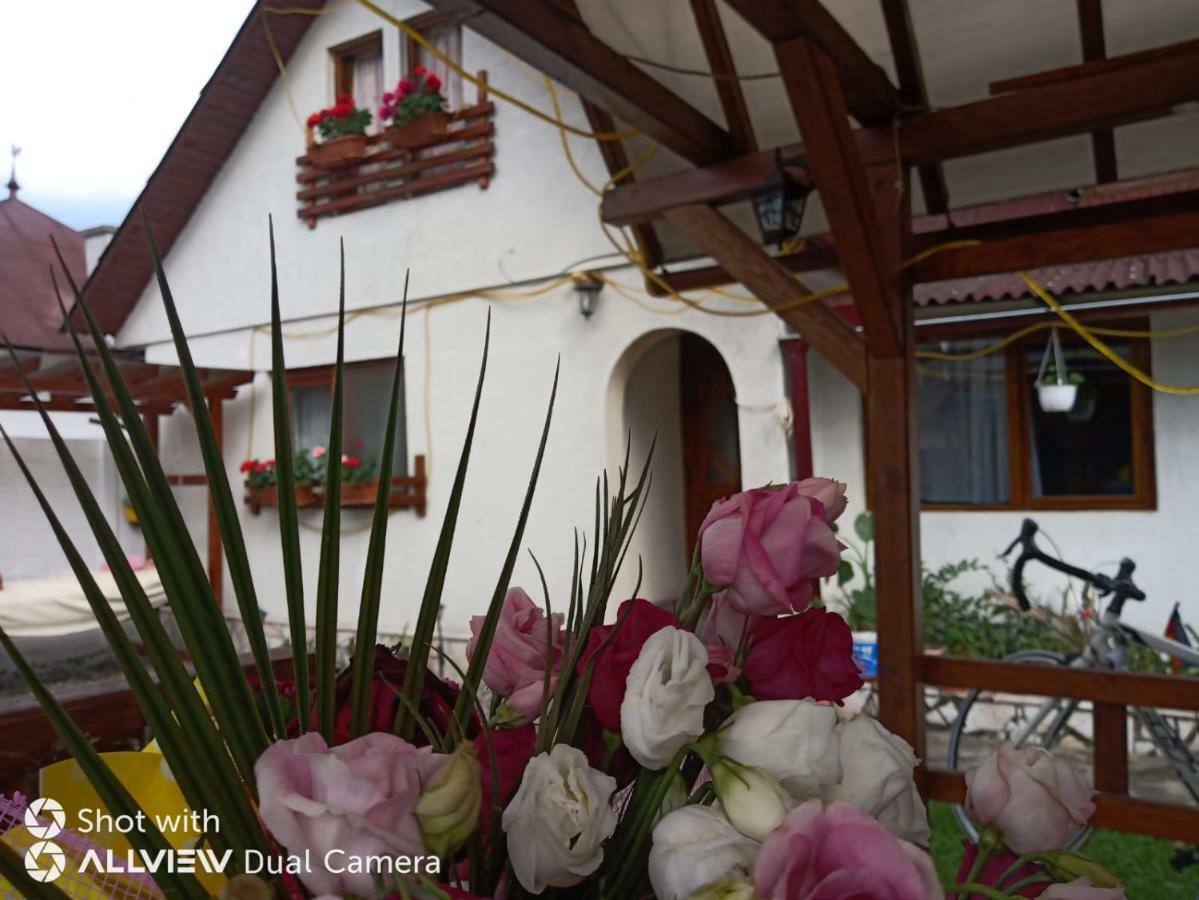 Casa Toth Din Tipterai Otel Vişeu de Sus Dış mekan fotoğraf